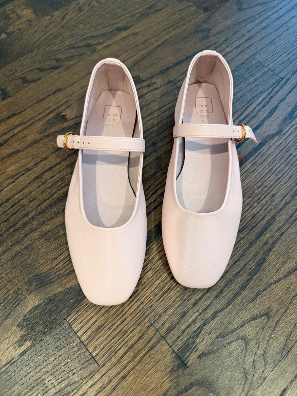ShuShop Pale Pink Mary Jane Flats with Gold Buckle